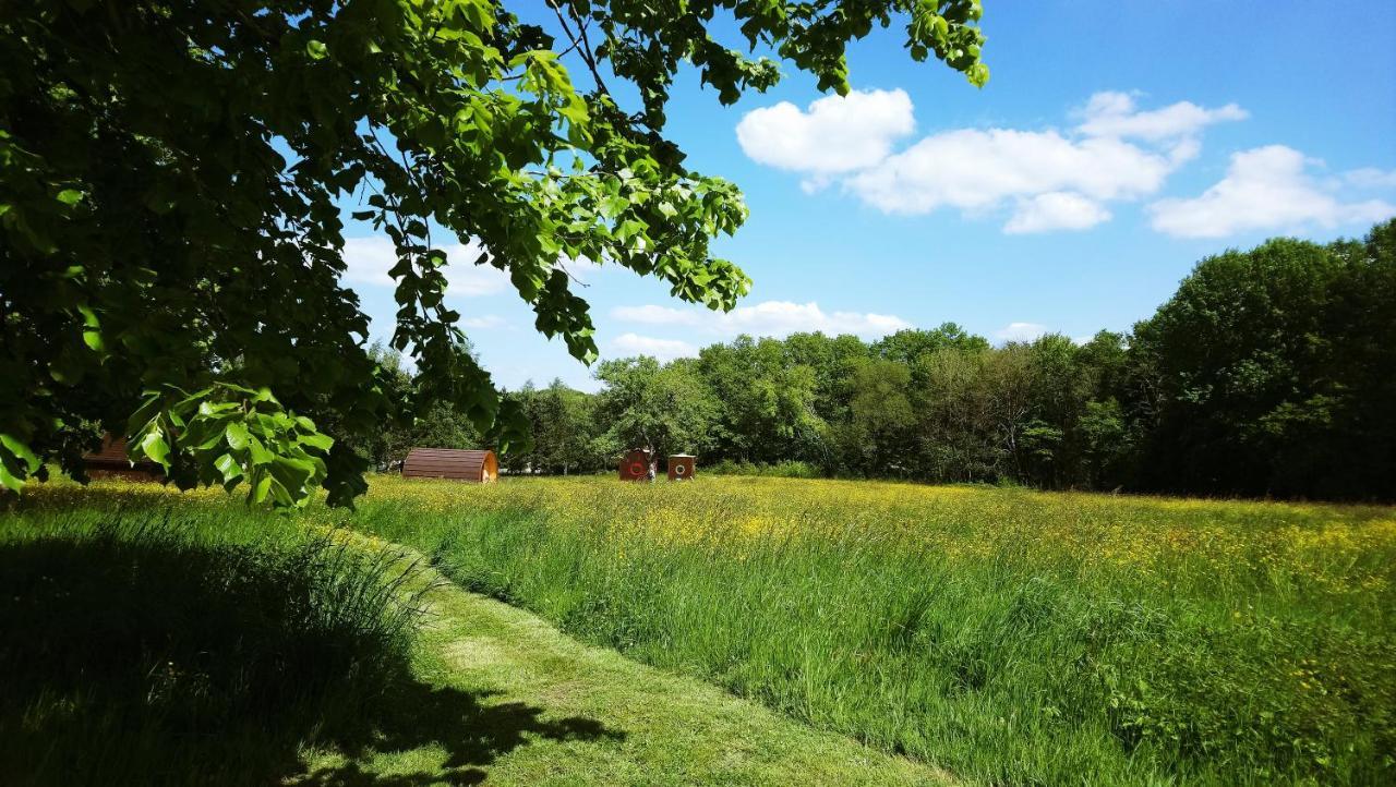 Vila Domaine De La Grangee La Chapelle-Blanche-Saint-Martin Exteriér fotografie